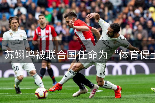 苏翊鸣被联合国任命为“体育促土地”大使
